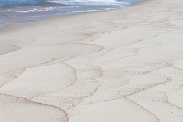 Beach at the Curonian spit