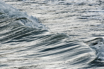 Wave