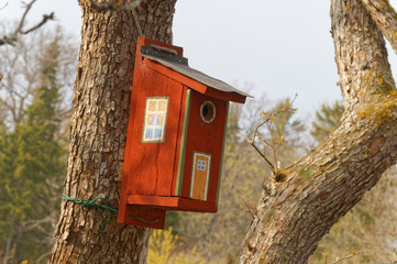 Painted bird house fron side view
