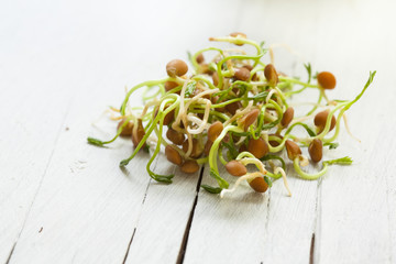  weeds begin to sprout