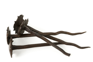 Obraz premium Old Iron Nails