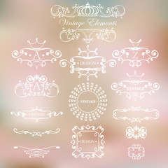 Vintage Elements and logos on a light background