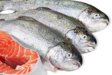 fresh trout and salmon slice on white background