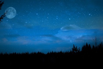 Obraz na płótnie Canvas dark night sky