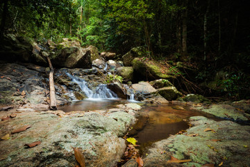 Naklejka na ściany i meble Jungle trekking on Koh Phangan