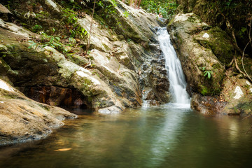 Jungle trekking on Koh Phangan