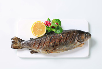 Grilled trout