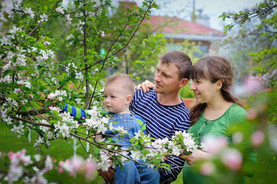 Young Happy Family In Cherry Blossom Spring Garden