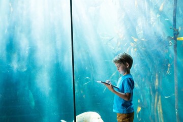 Young man drawing a fish in a tank 