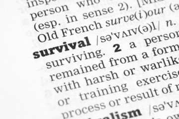 Dictionary definition survival