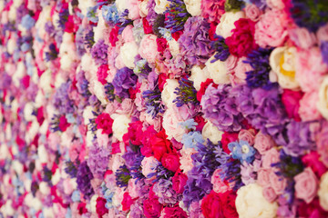 Beautiful wall made of red violet purple flowers, roses, tulips, press-wall, background 
