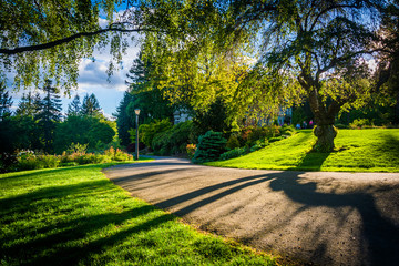Tree and a walkway at Pittock Acres Park, in Portland, Oregon.