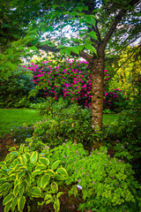 Fototapeta na wymiar Tree and gardens at Pittock Acres Park, in Portland, Oregon.