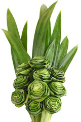 Fresh Pandanus leaf weave to rose bouquet