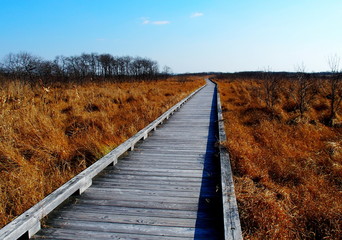 温根内釧路湿原