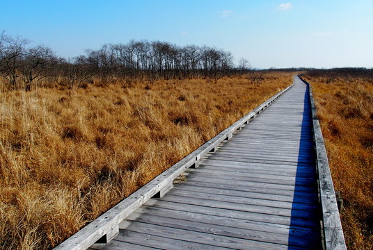 温根内釧路湿原