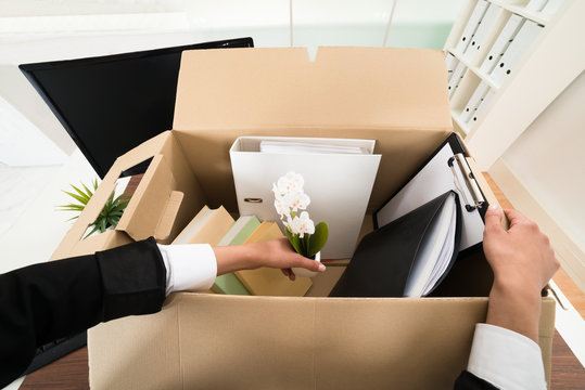 Businesswoman Packing Personal Belonging In Box