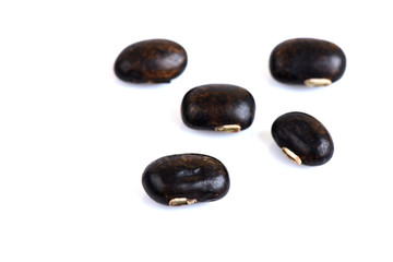 Mucuna pruriens DC., Seeds.