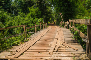 Obraz premium wood bridge