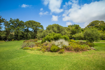 Fototapeta na wymiar Kirstenbosch Gardens
