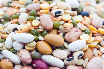 Legumes