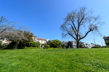 Obraz premium Green grass field