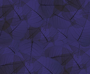 leaves blue texture background