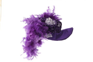 Stylish elegant hat with feathers