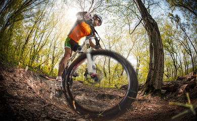 Fototapeta na wymiar Sport. Mountain Bike cyclist riding single track 