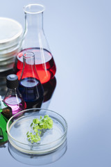 test tube retotr and green sprout in lab