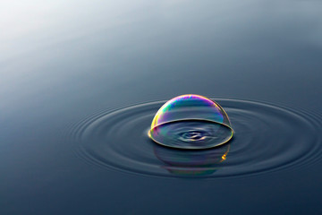soap bubble floating in the water