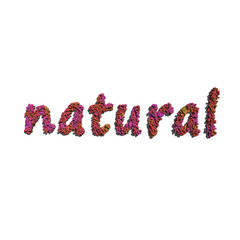 natural create by red color flowers white background