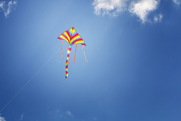 Kolorowy latawiec na błękitnym niebem - obrazy, fototapety, plakaty