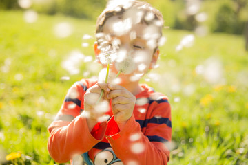 Child blowing dandelion, gold color, park