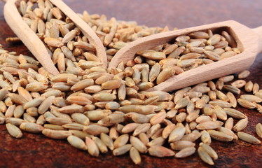 Heap of rye grain with wooden spoon