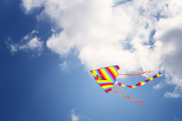 Kolorowy latawiec na błękitnym niebem - obrazy, fototapety, plakaty