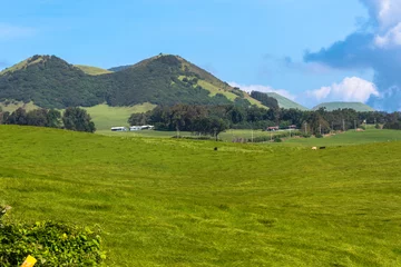 Tuinposter Fields along Kohala Mountain Road in Big Island, Hawaii © pikappa51