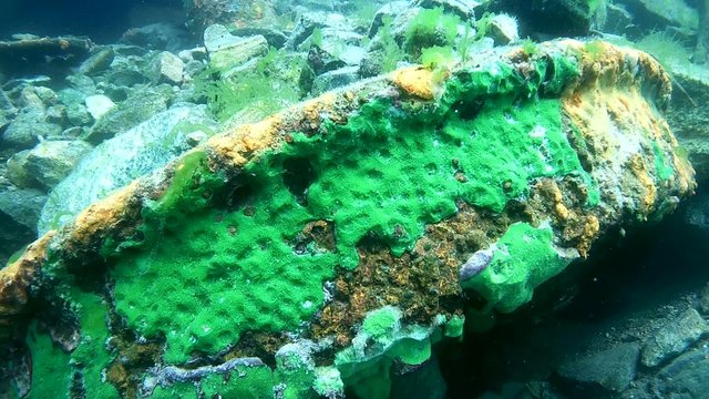 Wreck railway car, Circum-Baikal Railway,  Lake Baikal