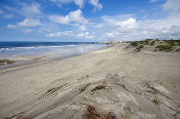 Dune and beach on the north of Portugal