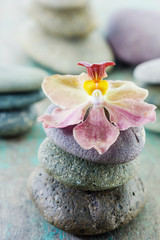Fototapeta na wymiar spa concept with zen stones and orchid