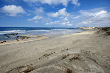 Dune and beach on the north of Portugal