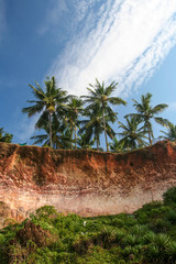 Fototapeta premium Cliffs at Varkala beach india