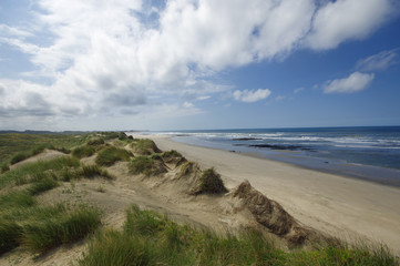 Dune and beach on the north of Portugal