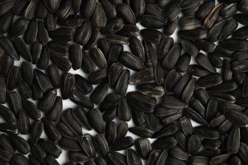 Black sunflower seeds close-up. Background