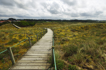Dune and beach on the north of Portugal