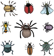 Set of bugs and insects, Hand drawn