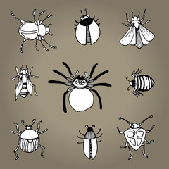set of bugs and insects hand drawn