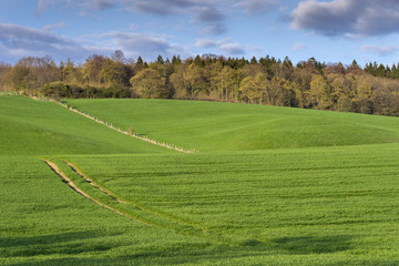 Hilly landscape in Lower Saxony