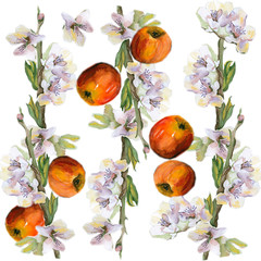 Apple blossom late Apple