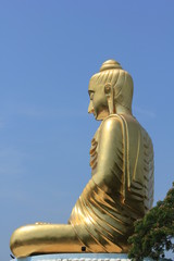 Buddha in Thailand (buddha, statue)